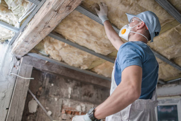 Best Eco-Friendly Insulation in Ossun, LA