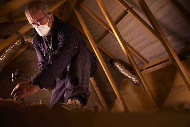 Best Blown-in Insulation in Ossun, LA